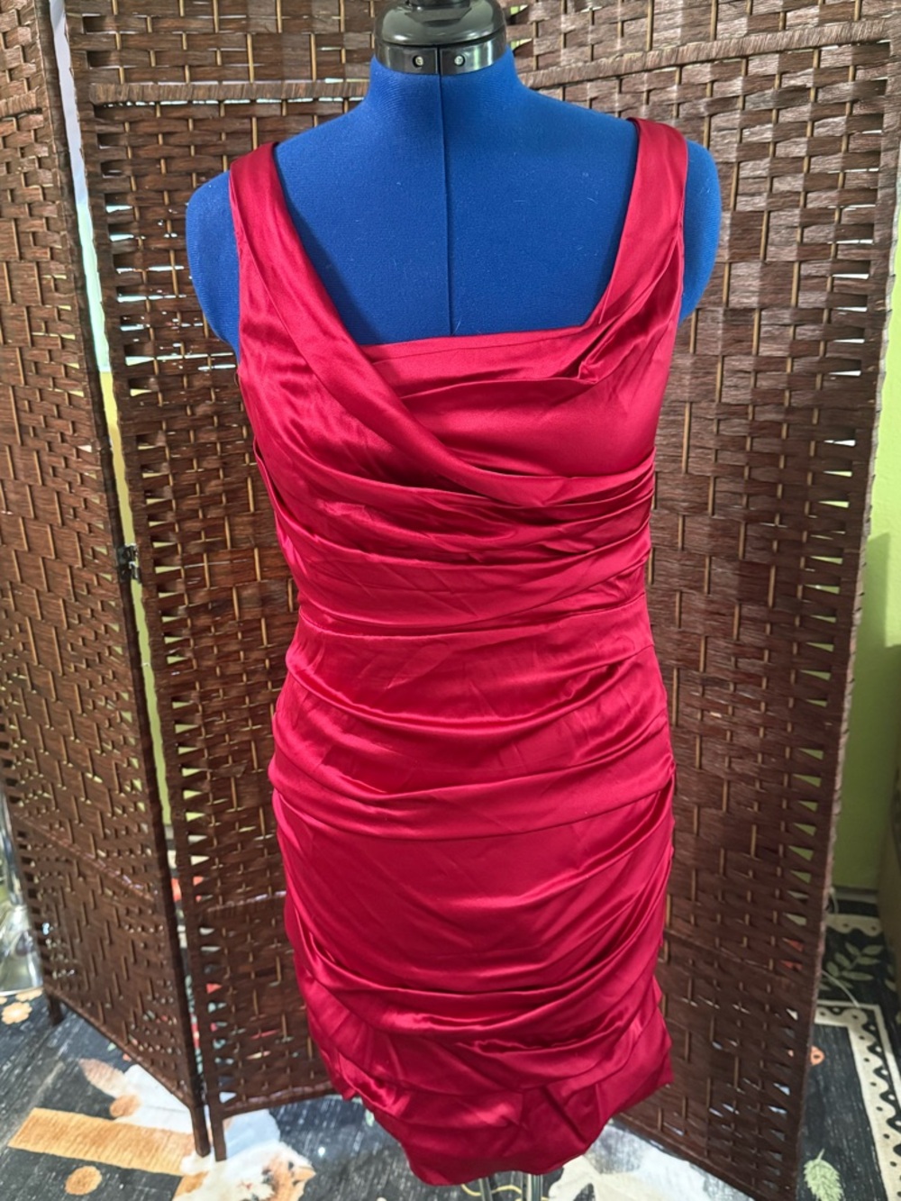 EXPRESS Design Studio Ruby Silk Sleeveless Mini Dress